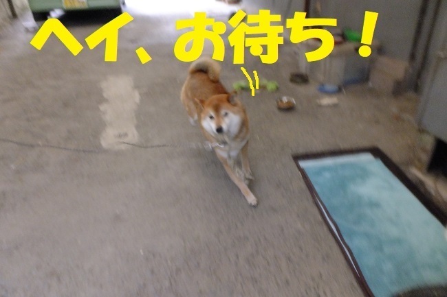 DSCF5040.JPG
