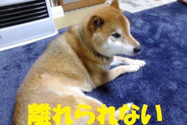 DSCF5052.JPG