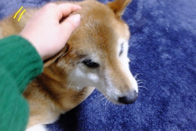 DSCF5053.JPG