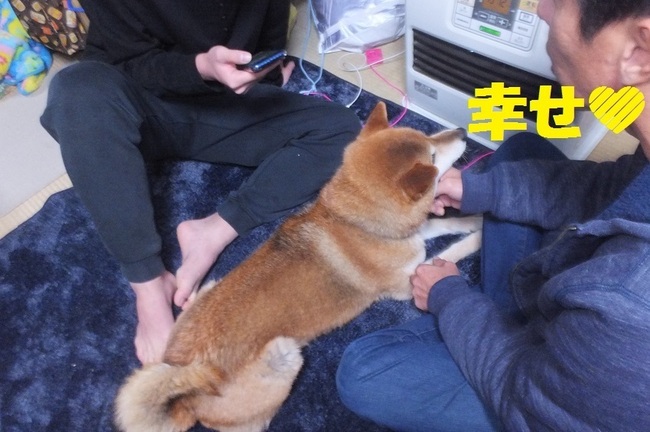 DSCF5193.JPG