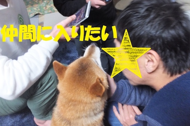 DSCF5210.JPG