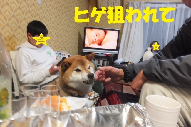 DSCF5275.JPG