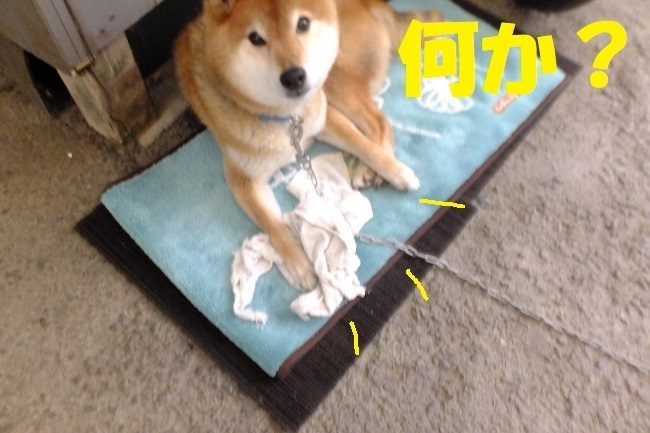 DSCF5487.JPG