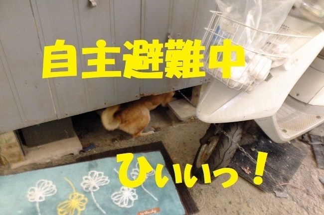 DSCF5509.JPG