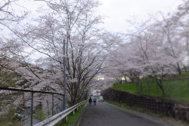 DSCF5640.JPG