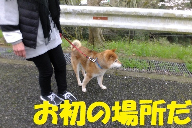 DSCF5679.JPG