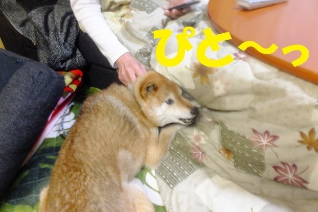 DSCF5686.JPG