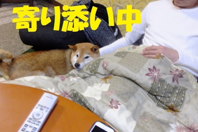 DSCF5695.JPG