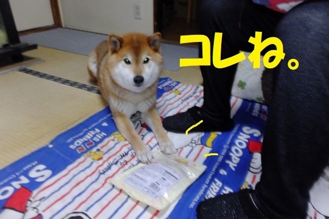 DSCF6082.JPG