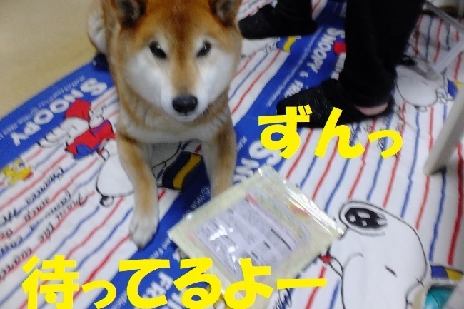 DSCF6085.JPG