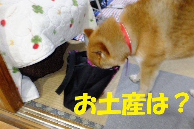DSCF6180.JPG