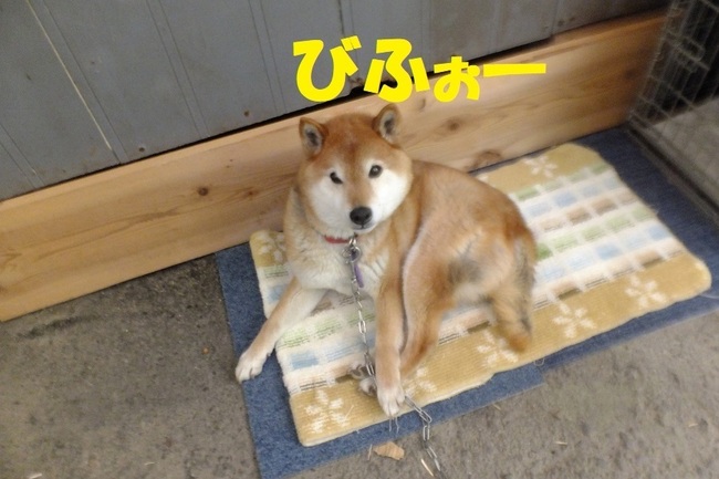 DSCF6358.JPG