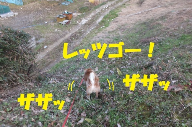 DSCF6371.JPG