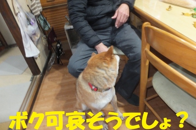 DSCF6444.JPG