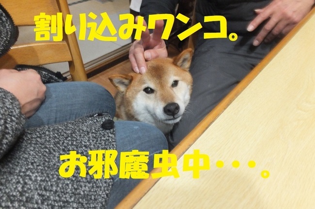 DSCF6448.JPG