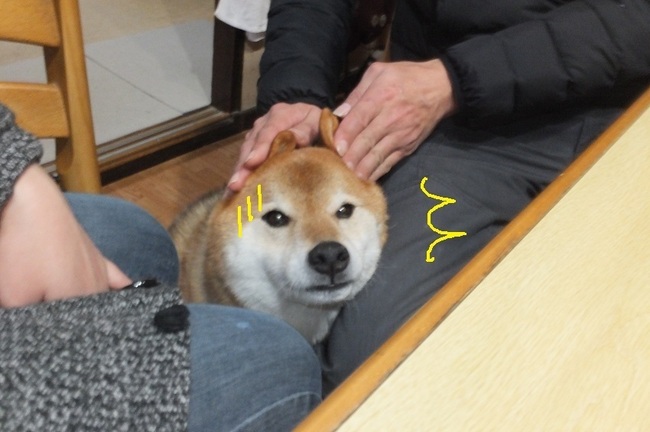 DSCF6451.JPG