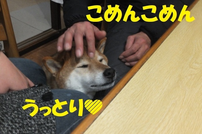 DSCF6453.JPG