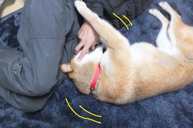 DSCF6483.JPG