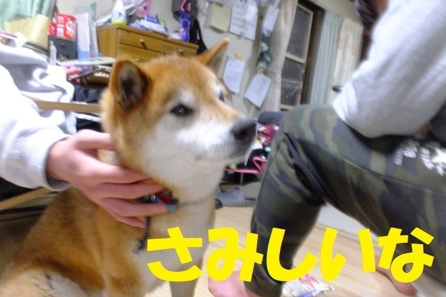 DSCF6508.JPG
