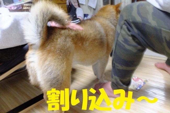 DSCF6510.JPG