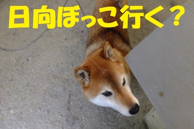 DSCF6740.JPG