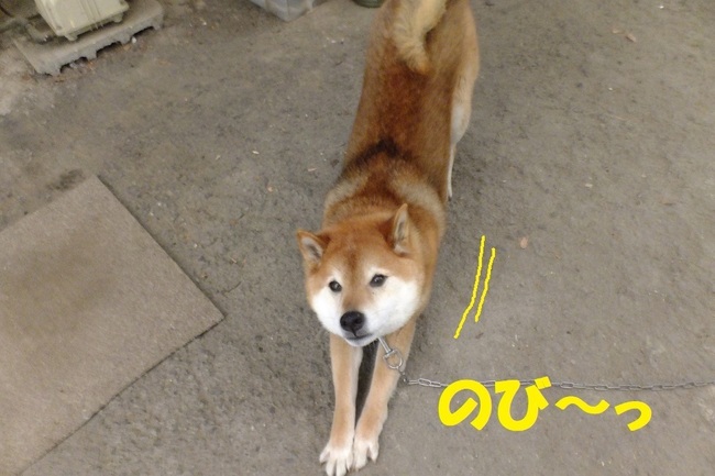 DSCF6743.JPG