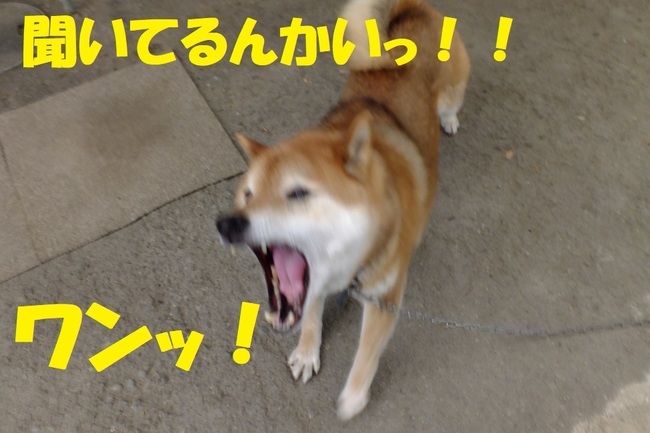 DSCF6744.JPG