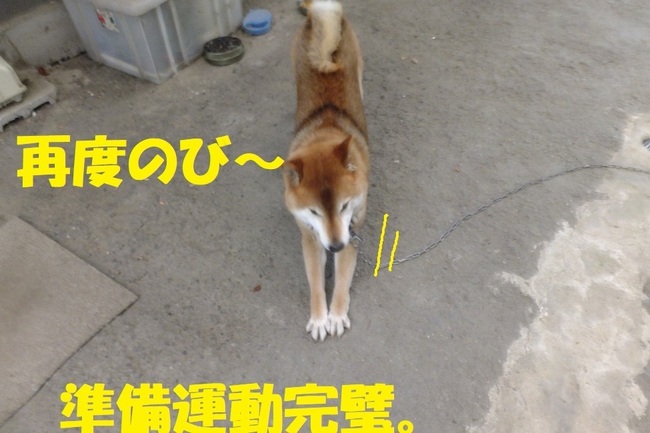 DSCF6745.JPG