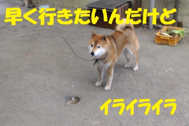 DSCF6747.JPG