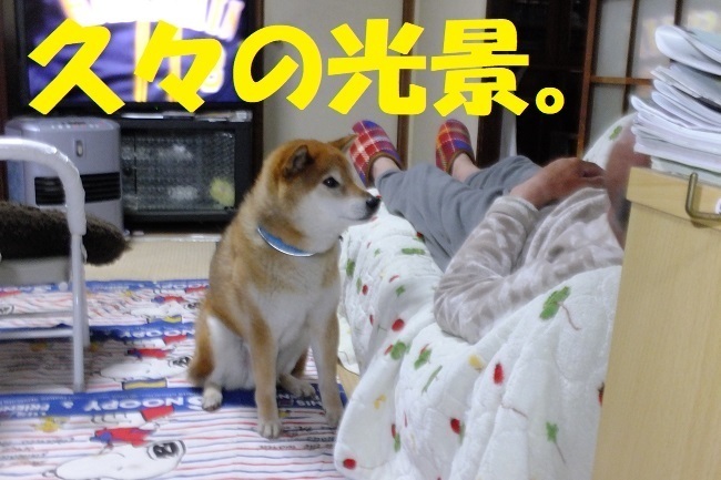 DSCF6781.JPG