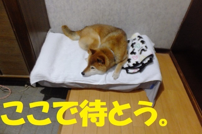 DSCF6786.JPG