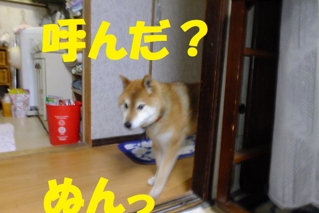 DSCF6792.JPG
