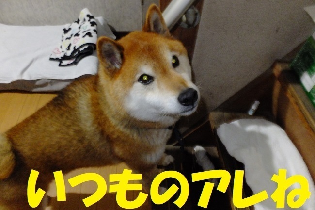 DSCF6793.JPG