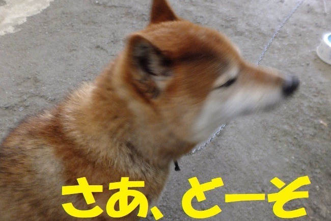 DSCF6825.JPG