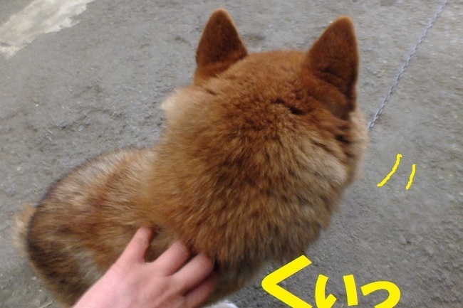 DSCF6828.JPG