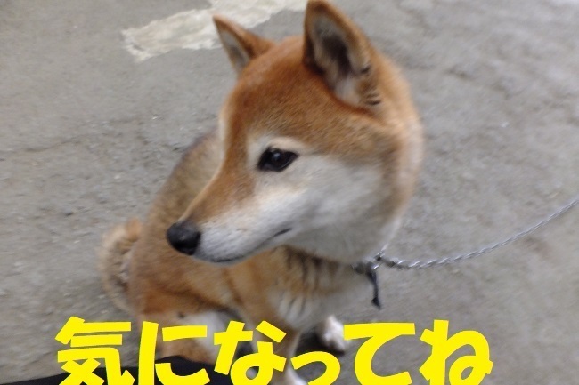 DSCF6829.JPG