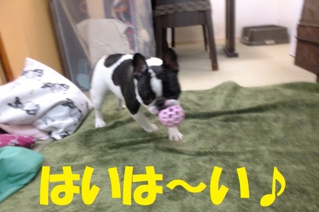 DSCF7144.JPG