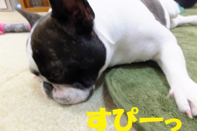 DSCF7149.JPG