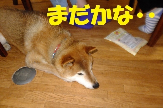 DSCF7166.JPG