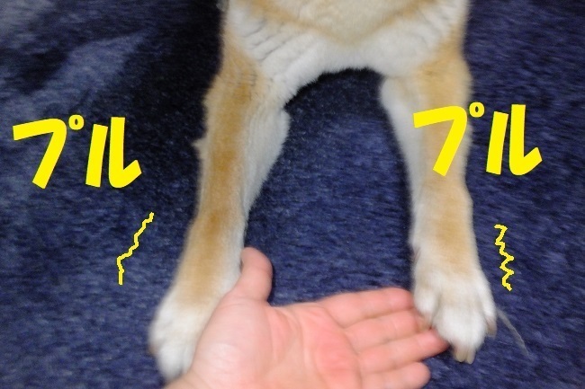 DSCF7170.JPG
