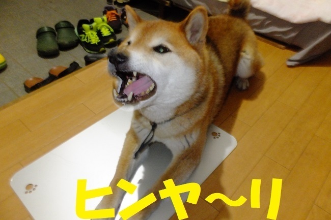 DSCF7198.JPG