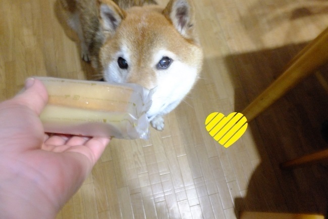 DSCF7207.JPG