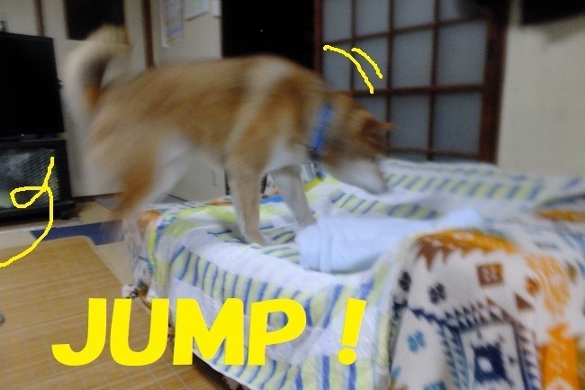 DSCF7211.JPG