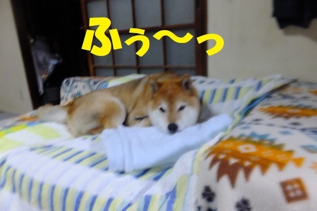 DSCF7214.JPG