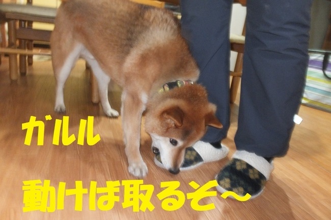 DSCF7384.JPG
