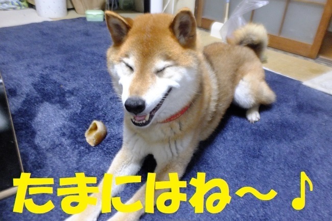 DSCF7650.JPG