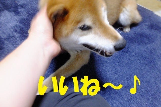 DSCF7655.JPG