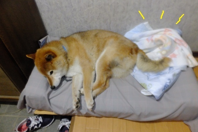 DSCF7778.JPG