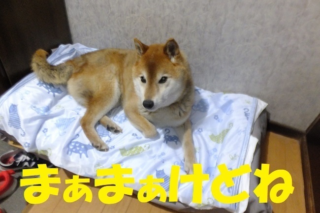 DSCF7780.JPG