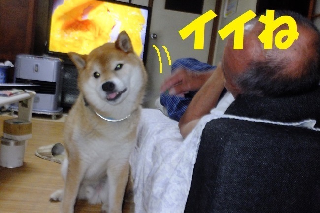 DSCF7828.JPG